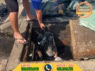 Dịch vụ nạo vét hố ga quận 9 giá rẻ uy tín