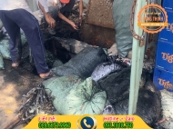 Nạo vét hố ga quận Bình Thạnh giá rẻ uy tín nhất hiện nay